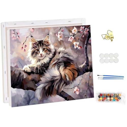 NEWENMO Flauschige Katze Malen Nach Zahlen mit Rahmen,Blumen Paint by Numbers,Tiere Malen Nach Zahlen Erwachsene,DIY Handgemalt Ölgemälde Set mit Pinseln und Acrylfarben,für Heimdekoration 30x40cm NEWENMO Flauschige Katze Malen Nach Zahlen mit Rahmen,Blumen Paint by Numbers,Tiere Malen Nach Zahlen Erwachsene,DIY Handgemalt Ölgemälde Set mit Pinseln und Acrylfarben,für Heimdekoration 30x40cm von NEWENMO