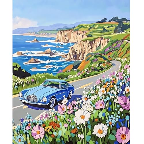 NEWENMO Landschaft der Küstenstraßen Malen Nach Zahlen Erwachsene,Blaue Auto Paint by Numbers,DIY Blume Handgemalt Ölgemälde,Malen Nach Zahlen Kits mit Pinseln und Acrylfarbe,für Home Decor 40x50cm von NEWENMO