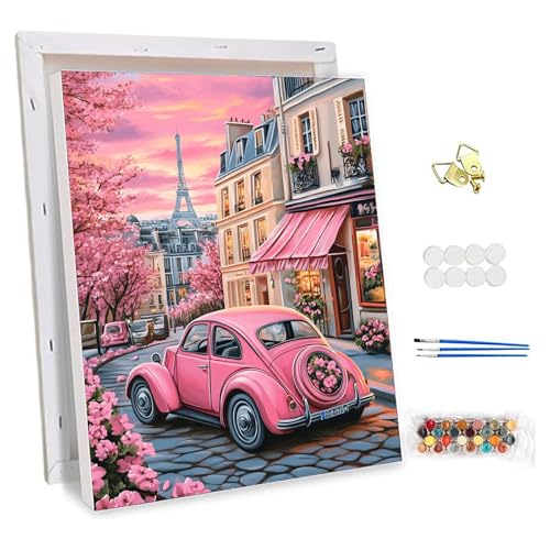 NEWENMO Stadtbild Malen Nach Zahlen Erwachsene mit Rahmen,Rosa Auto und Blumen Paint by Numbers,DIY Handgemalt Ölgemälde Kit,Malen Nach Zahlen Kits mit Pinseln und Acrylfarbe,für Home Decor-30x40cm von NEWENMO