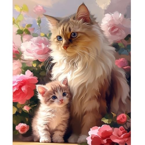 NEWENMO Zwei Niedliche Kätzchen Malen Nach Zahlen Erwachsene,DIY Rosa Rosen Paint by Numbers,Malen Nach Zahlen Kits,DIY Handgemalt Ölgemälde Set mit Pinseln und Acrylfarben,für Home Decor 40x50cm NEWENMO Zwei Niedliche Kätzchen Malen Nach Zahlen Erwachsene,DIY Rosa Rosen Paint by Numbers,Malen Nach Zahlen Kits,DIY Handgemalt Ölgemälde Set mit Pinseln und Acrylfarben,für Home Decor 40x50cm von NEWENMO