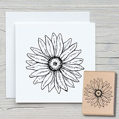 NEWSTAMPS Stempel Echinacea Blüte Motivstempel aus Holz & Gummi zum Karten basteln, Holzstempel, Blumen, Pflanzen, Floral, Wiese, Gräser, Scrapbook, Textilstempel, Deko, Kinder von NEWSTAMPS DIE STEMPELMACHER