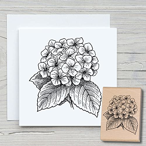 NEWSTAMPS Stempel Hortensie Motivstempel groß aus Holz & Gummi zum Karten basteln, Holzstempel, Blumen, Pflanzen, Floral, Wiese, Gräser, Scrapbook, Textilstempel, Deko, Kinder NEWSTAMPS Stempel Hortensie Motivstempel groß aus Holz & Gummi zum Karten basteln, Holzstempel, Blumen, Pflanzen, Floral, Wiese, Gräser, Scrapbook, Textilstempel, Deko, Kinder von NEWSTAMPS DIE STEMPELMACHER