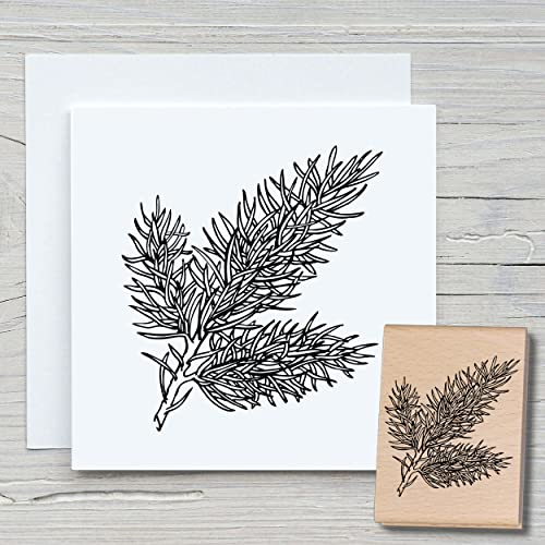 NEWSTAMPS Stempel Pinie Motivstempel groß aus Holz & Gummi zum Karten basteln, Holzstempel, Blumen, Pflanzen, Floral, Wiese, Gräser, Scrapbook, Textilstempel, Deko, Kinder NEWSTAMPS Stempel Pinie Motivstempel groß aus Holz & Gummi zum Karten basteln, Holzstempel, Blumen, Pflanzen, Floral, Wiese, Gräser, Scrapbook, Textilstempel, Deko, Kinder von NEWSTAMPS DIE STEMPELMACHER