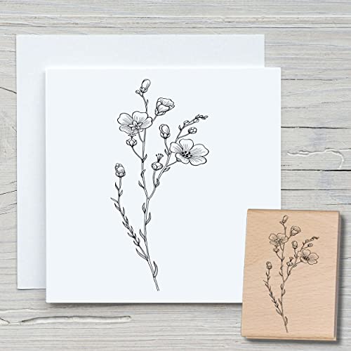 NEWSTAMPS Stempel Wiesenblume Motivstempel groß aus Holz & Gummi zum Karten basteln, Holzstempel, Blumen, Pflanzen, Floral, Wiese, Gräser, Scrapbook, Textilstempel, Deko, Kinder NEWSTAMPS Stempel Wiesenblume Motivstempel groß aus Holz & Gummi zum Karten basteln, Holzstempel, Blumen, Pflanzen, Floral, Wiese, Gräser, Scrapbook, Textilstempel, Deko, Kinder von NEWSTAMPS DIE STEMPELMACHER