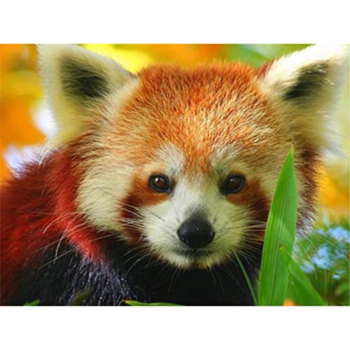 NFRAZ Diamond Painting Gear Diamond Painting Kit 5D Runde Stickerei Roter Panda Tiermuster Mosaik Wandaufkleber Kristall Hand 40x50CM NFRAZ Diamond Painting Gear Diamond Painting Kit 5D Runde Stickerei Roter Panda Tiermuster Mosaik Wandaufkleber Kristall Hand 40x50CM von NFRAZ