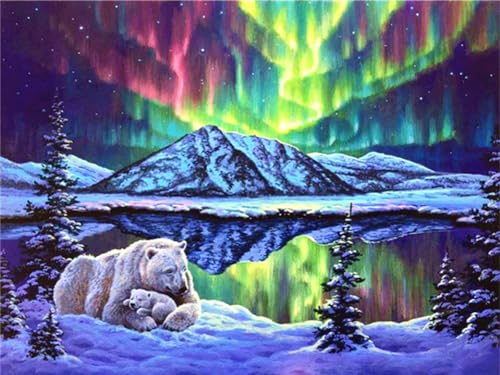5D-Diamant-Malerei-Set zum Selbermachen für Erwachsene, farbiger Aurora-Borealis-Bär, 30 x 50 cm, 5D-Diamantgemälde, Vollbohr-Stickerei, Kreuzstich-Set, DIY-Diamantkunst, Edelsteingemälde, Bilder, 5D-Diamant-Malerei-Set zum Selbermachen für Erwachsene, farbiger Aurora-Borealis-Bär, 30 x 50 cm, 5D-Diamantgemälde, Vollbohr-Stickerei, Kreuzstich-Set, DIY-Diamantkunst, Edelsteingemälde, Bilder, von NHYXW