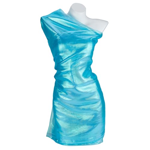 NICENEEDED 3 Yards Magischer Regenbogen Organza Spitzenstoff Mit Laser Farbverlauf Schillernder Holografischer Gazestoff Für Hochzeitskleid NICENEEDED 3 Yards Magischer Regenbogen Organza Spitzenstoff Mit Laser Farbverlauf Schillernder Holografischer Gazestoff Für Hochzeitskleid von NICENEEDED