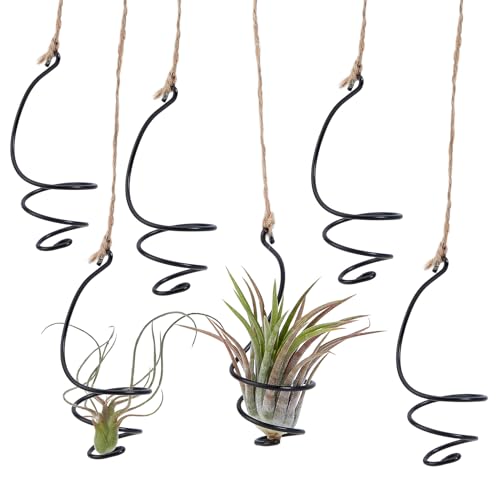NICENEEDED 6 Stück Hängende Luftpflanze Mit Juteseilen Hängender Käfig Erdloser Tillandsia Sukkulenten Ausstellungsbehälter Makramee Halter Für Zimmerpflanzen Im Freien NICENEEDED 6 Stück Hängende Luftpflanze Mit Juteseilen Hängender Käfig Erdloser Tillandsia Sukkulenten Ausstellungsbehälter Makramee Halter Für Zimmerpflanzen Im Freien von NICENEEDED
