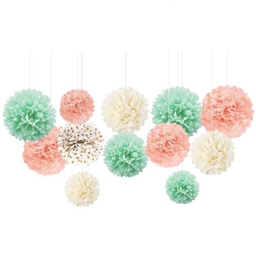 NICROHOME 12 Stück Minze Grüne Party Deko, Pfirsichrosa Seidenpapier Pompoms mit Goldene Wellen Punkt, Tissue Paper Papierblumen für Hochzeitsdeko, Geburtstag, Brautdusche, Babyparty, osterdeko NICROHOME 12 Stück Minze Grüne Party Deko, Pfirsichrosa Seidenpapier Pompoms mit Goldene Wellen Punkt, Tissue Paper Papierblumen für Hochzeitsdeko, Geburtstag, Brautdusche, Babyparty, osterdeko von NICROHOME EUR