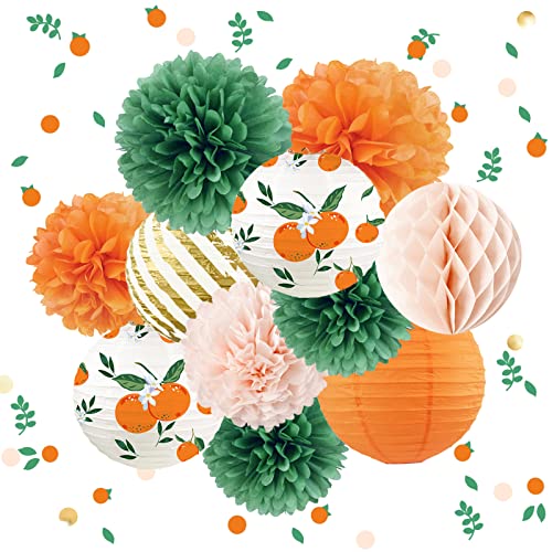 NICROHOME Babyparty-Dekorationen, 12 Stück, orange, kleine niedliche Papierlaternen, Seidenpapier-Pompons, Goldfolien-Punkte, Konfetti für Geburtstag, Babyparty, Frühlingsfeier NICROHOME Babyparty-Dekorationen, 12 Stück, orange, kleine niedliche Papierlaternen, Seidenpapier-Pompons, Goldfolien-Punkte, Konfetti für Geburtstag, Babyparty, Frühlingsfeier von NICROHOME EUR