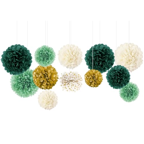 NICROLANDEE Seidenpapier Pompons für Hochzeitsparty-Dekorationen, neutrale Babypartys, Vintage-Partys, Geburtstage, Brautpartys, rustikale Hochzeitsdekorationen, Gartenparty Deko Grün, 12 Stück NICROLANDEE Seidenpapier Pompons für Hochzeitsparty-Dekorationen, neutrale Babypartys, Vintage-Partys, Geburtstage, Brautpartys, rustikale Hochzeitsdekorationen, Gartenparty Deko Grün, 12 Stück von NICROLANDEE