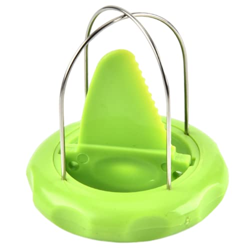 Kiwi Fruchtschäler 2-in-1 Kiwi Cutter Peeler Abnehmbares Obstgräberkern für Küchenwerkzeug, Werkzeug, Werkzeug Kiwi Fruchtschäler 2-in-1 Kiwi Cutter Peeler Abnehmbares Obstgräberkern für Küchenwerkzeug, Werkzeug, Werkzeug von NIDONE