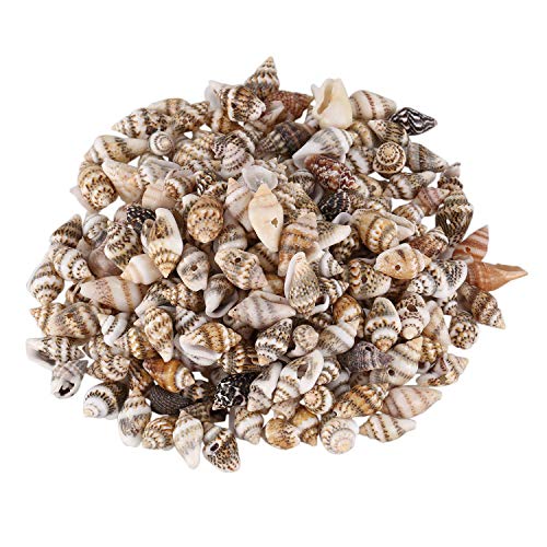 NIEI Mini Muscheln 13-16Mm Mit Loch Für Einfädeln, Kinder Aktivitäten, Schmuck Herstellung - Packung Mit 200 von NIEI