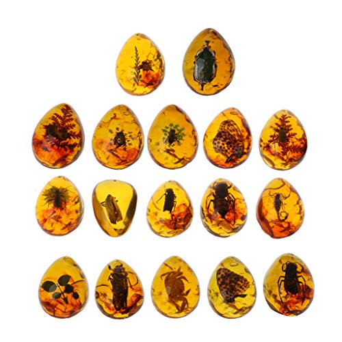 NIHENHAO Halskette mit Anhänger aus Bernstein mit Tiermotiv und Schmetterlingssteinen NIHENHAO Halskette mit Anhänger aus Bernstein mit Tiermotiv und Schmetterlingssteinen von NIHENHAO