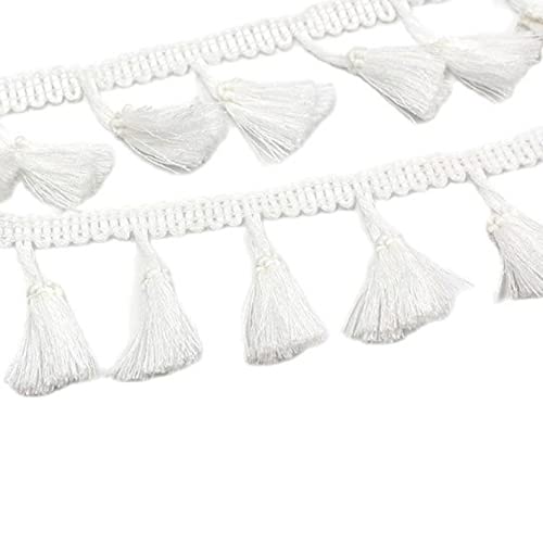 NIHUJALE Fransenbesatz, geflochtene Hängeperlen, 2 Yards Ribbon Fringe Lace Trimmt DIY Hochzeit Party Latin Kleid Stoff handgemachte Nähen Vorhang(Transparent) von NIHUJALE