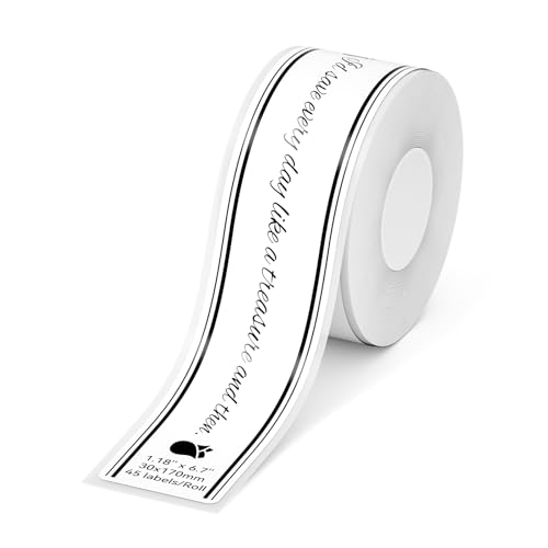 NIIMBOT Etiketten für B1, B21, B3S, Thermodrucker-Etiketten, 30 x 170 mm, Etikettenband für Aktenordner, Etiketten (weiß) von NIIMBOT