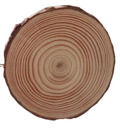 NINGWAAN Natürliche Holzscheiben, 8,9 - 10,2 cm Durchmesser, 40 Stück, unlackierte Holzkreise mit Rinde und Loch für DIY Handwerk NINGWAAN Natürliche Holzscheiben, 8,9 - 10,2 cm Durchmesser, 40 Stück, unlackierte Holzkreise mit Rinde und Loch für DIY Handwerk von NINGWAAN