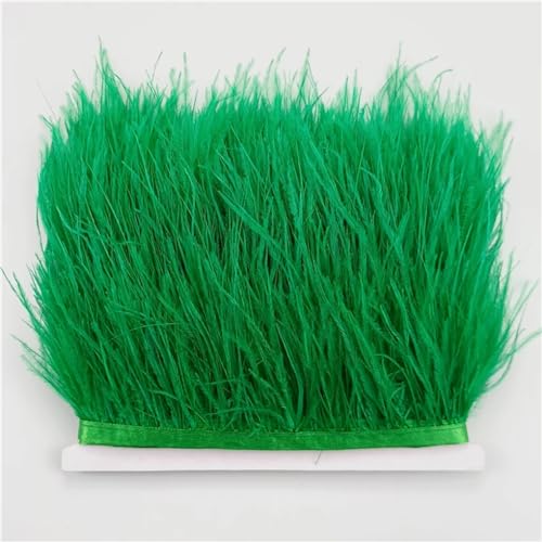 NIUSABOU Feder-Fransen-Besatz, Straußenfederbesätze for Handarbeiten, 8–10 cm, Band, Fransen, Federdekoration(Grass EN8,5Meters) von NIUSABOU