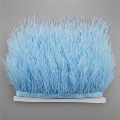 NIUSABOU Feder-Fransen-Besatz, Straußenfederbesätze for Handarbeiten, 8–10 cm, Band, Fransen, Federdekoration(Light Blue,1Meter) von NIUSABOU