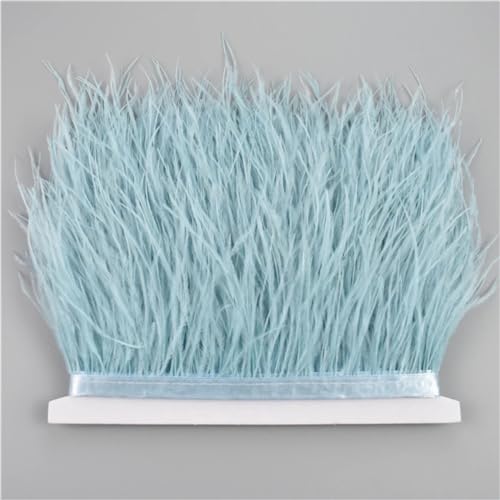 NIUSABOU Feder-Fransen-Besatz, Straußenfederbesätze for Handarbeiten, 8–10 cm, Band, Fransen, Federdekoration(Light Sky Blue,5Meters) von NIUSABOU
