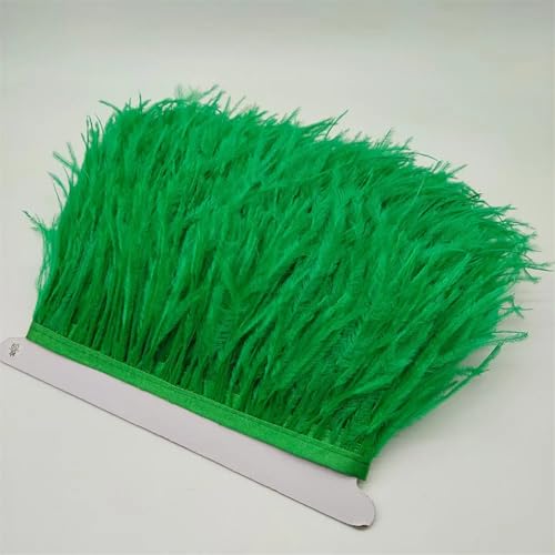 NIUSABOU Feder-Fransen-Besatz, Straußenfederbesatz, Fransenband for Nähen, Basteln, Kostüme, Dekoration, 10–15 Zentimeter, 4–6 Zoll(Grass EN8,5Yards) von NIUSABOU