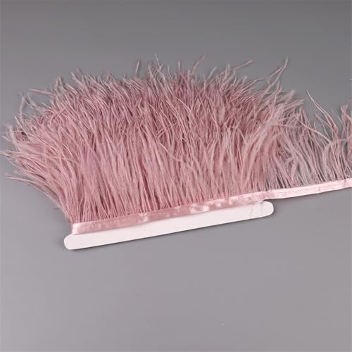 NIUSABOU Feder-Fransen-Besatz, Straußenfedern Band Fransenbesatz for Nähen von Besätzen for Kleider, Kleidung, Kostüme, Bastelzubehör(Leather pnnrk,1 Meters) von NIUSABOU