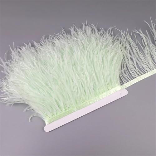 NIUSABOU Feder-Fransen-Besatz, Straußenfedern Band Fransenbesatz for Nähen von Besätzen for Kleider, Kleidung, Kostüme, Bastelzubehör(Light Mint,5 Meters) von NIUSABOU