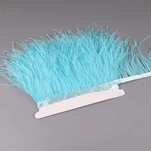 NIUSABOU Feder-Fransen-Besatz, Straußenfedern Band Fransenbesatz for Nähen von Besätzen for Kleider, Kleidung, Kostüme, Bastelzubehör(Light Turquoise,10 Meters) von NIUSABOU