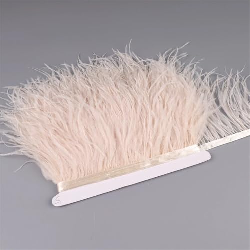 NIUSABOU Feder-Fransen-Besatz, Straußenfedern Band Fransenbesatz for Nähen von Besätzen for Kleider, Kleidung, Kostüme, Bastelzubehör(Shampagne,10 Meters) von NIUSABOU