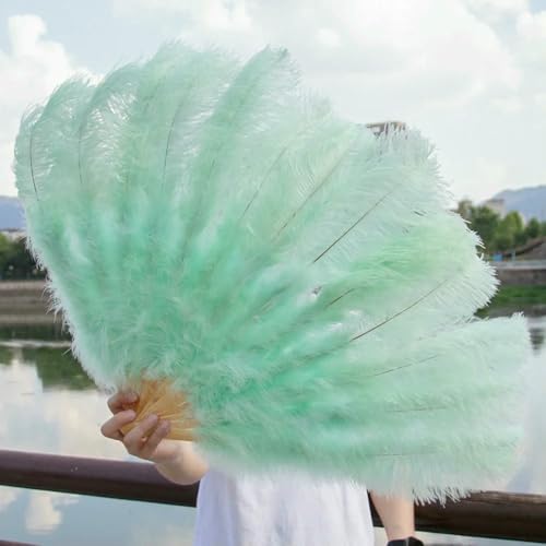 großer Straußventilator, Fächer aus Straußenfedern, for Performance, Tanz, Dekoration, Zubehör, Mehrfarbig, 2 Stück, 130 cm(Mint Green,1PCS 100CM) von NIUSABOU