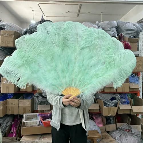 großer Straußventilator, Handfächer aus Straußenfedern, 100 cm/130 cm, Mehrfarbig, 2 Stück, Requisiten for Tanzaufführungen(Mint Green,100CM 1PCS Left Hand) von NIUSABOU