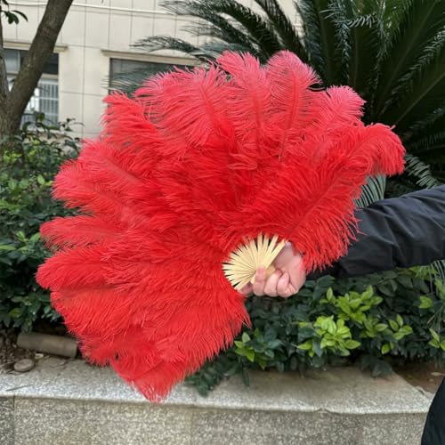 großer Straußventilator, Handfächer aus natürlichen Straußenfedern, Mehrfarbig, mehrere Größen(Red,1 PCS 70cmx40cm Left) von NIUSABOU