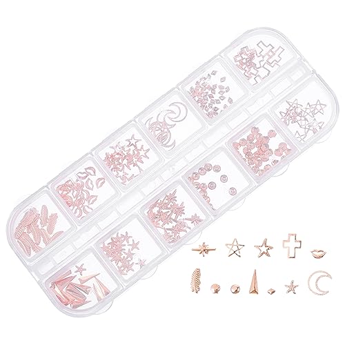 NIYANGLE 1 Schachtel Diy Nagelkunst Schmuck Glänzende Strasssteine für Nageldesigns Teiliges für Maniküre und Bastelprojekte für Anfänger und Profis Vielseitig Verwendbar für Handyhüllen von NIYANGLE