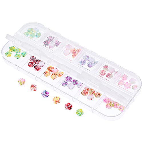 NIYANGLE 1 Schachtel Nail Art Dekorationsset Diy Maniküre Zubehör mit Langlebigen und Sicheren Materialien für Kreative Nagelkunst und Designs NIYANGLE 1 Schachtel Nail Art Dekorationsset Diy Maniküre Zubehör mit Langlebigen und Sicheren Materialien für Kreative Nagelkunst und Designs von NIYANGLE