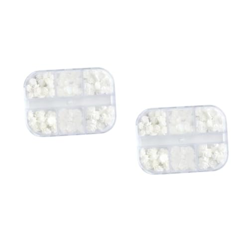 NIYANGLE 2 Sätze Blüten Nagelaccessoires Set Resin Nail Charms Für Diy Nageldesign Dekorative Blüten Für Maniküre Einfach Anzuwenden Für Kreative Nail Art Dekorationen 2boxen*2 NIYANGLE 2 Sätze Blüten Nagelaccessoires Set Resin Nail Charms Für Diy Nageldesign Dekorative Blüten Für Maniküre Einfach Anzuwenden Für Kreative Nail Art Dekorationen 2boxen*2 von NIYANGLE
