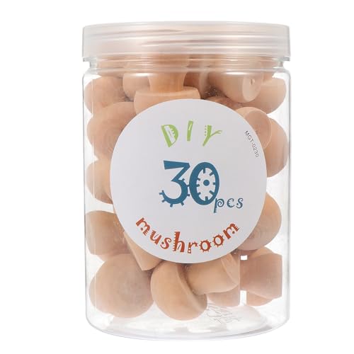 NIYANGLE 30 Stück Holzpilzklammern, Unvollendetes Diy-malspielzeug, Handbemaltes Kunsthandwerk für Heimdekoration Und Miniaturszenen NIYANGLE 30 Stück Holzpilzklammern, Unvollendetes Diy-malspielzeug, Handbemaltes Kunsthandwerk für Heimdekoration Und Miniaturszenen von NIYANGLE