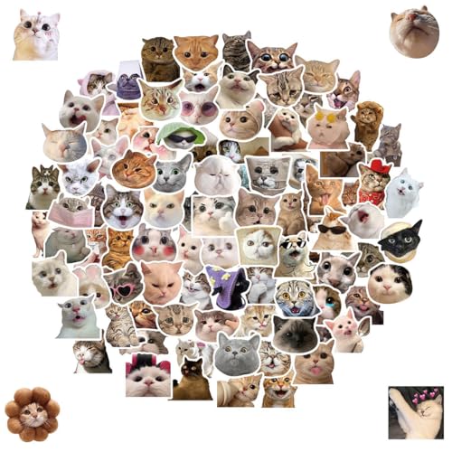 100 Stück Katzensticker, Lustige Aufkleber, Sticker Aesthetic, süße Katzen Aufkleber wasserfeste Vinyl Aufkleber ästhetische von NJCXOLA