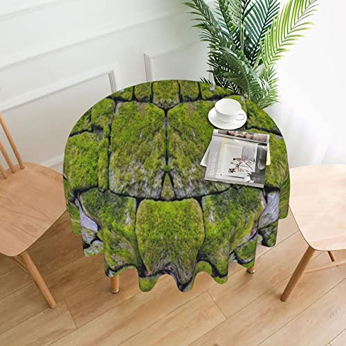 Tischdecke, Motiv: Moos, Steinpflaster, Bedruckt, weiche Tischdecke für Küche, Esszimmer, wasserdichte Tischabdeckung für Familienessen, Weihnachtsfest, Küchendekoration von NLWQEKV