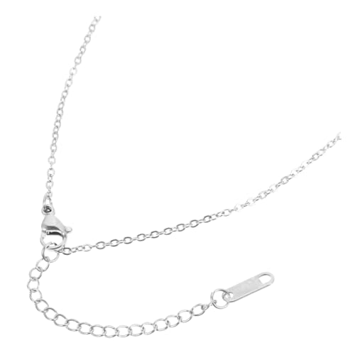 NOLITOY Edelstahlkette mit Verlängerung Glatte Metallkette für DIY Schmuckherstellung Langlebige Hautfreundliche Kettenverlängerung Vielseitig Einsetzbar für Halsketten und Anhänger NOLITOY Edelstahlkette mit Verlängerung Glatte Metallkette für DIY Schmuckherstellung Langlebige Hautfreundliche Kettenverlängerung Vielseitig Einsetzbar für Halsketten und Anhänger von NOLITOY