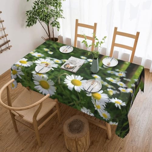 NONHAI Tischdecke für rechteckige Tische, Frühlingsgarten, Gänseblümchen, knitterfrei, Tischdecke für Küche, 137,2 x 182,9 cm, Tischdecke für Esszimmer, Bauernhaus, Dekoration, Tischdecke NONHAI Tischdecke für rechteckige Tische, Frühlingsgarten, Gänseblümchen, knitterfrei, Tischdecke für Küche, 137,2 x 182,9 cm, Tischdecke für Esszimmer, Bauernhaus, Dekoration, Tischdecke von NONHAI
