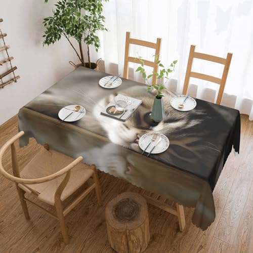 NONHAI Tischdecke für rechteckige Tische, schlafende Katze, knitterfrei, Tischdecke für Küche, 137,2 x 182,9 cm, Tischdecke für Esszimmer, Bauernhaus, Dekoration, Tischdecke NONHAI Tischdecke für rechteckige Tische, schlafende Katze, knitterfrei, Tischdecke für Küche, 137,2 x 182,9 cm, Tischdecke für Esszimmer, Bauernhaus, Dekoration, Tischdecke von NONHAI