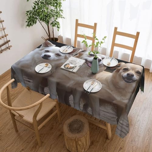 NONHAI Tischdecke für rechteckige Tische mit drei Hunden, knitterfrei, Tischdecke für Küche, 137,2 x 182,9 cm, Tischdecke für Esszimmer, Bauernhaus, Dekoration, Tischdecke NONHAI Tischdecke für rechteckige Tische mit drei Hunden, knitterfrei, Tischdecke für Küche, 137,2 x 182,9 cm, Tischdecke für Esszimmer, Bauernhaus, Dekoration, Tischdecke von NONHAI