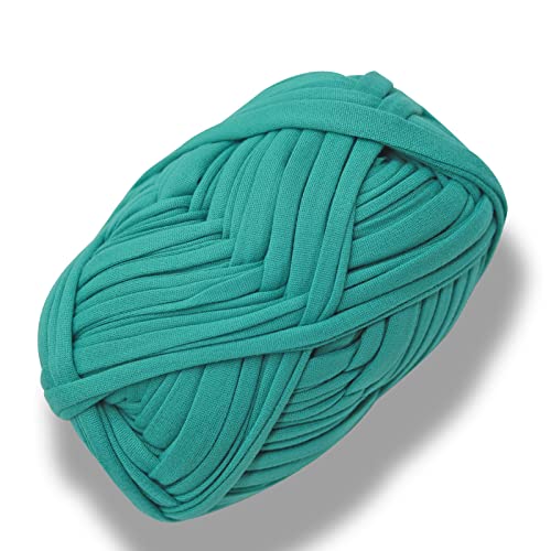 NOTIONSLAND 2 x T-Shirt-Garn für Häkelkorb, Stoff-Strickgarn für Taschen, Brillenhalter, Brillenständer, Heimdekoration – grüner See NOTIONSLAND 2 x T-Shirt-Garn für Häkelkorb, Stoff-Strickgarn für Taschen, Brillenhalter, Brillenständer, Heimdekoration – grüner See von NOTIONSLAND
