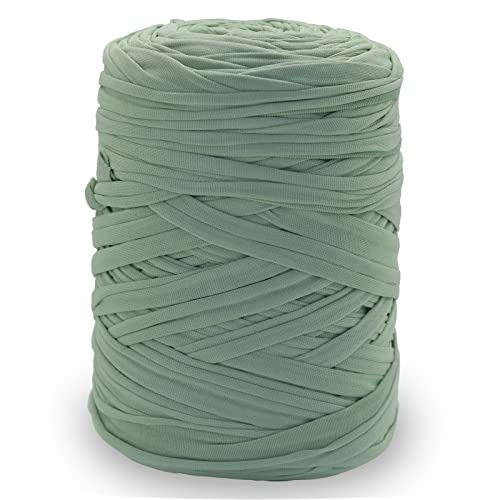 NOTIONSLAND 400 g T-Shirt-Garn, Strickgarn, Stoff, Häkelgarn für Tasche, Korb, Decke, Heimdekoration – hellgrüne einfarbige Garne NOTIONSLAND 400 g T-Shirt-Garn, Strickgarn, Stoff, Häkelgarn für Tasche, Korb, Decke, Heimdekoration – hellgrüne einfarbige Garne von NOTIONSLAND