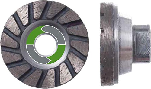 NOZAR Profi Diamant-Schleifteller Mini 50 x M14 x 5 mm BH: 18 mm für Beton, Kalksandstein (hart), Naturstein, Universal von NOZAR
