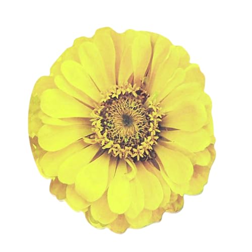 25 Blatt selbstklebende Haftnotizen Block Auto-Stick Notizblock Abnehmbarer Stick Memo Blumen Designs Memo Notizblöcke Blumen Notizen 25 Blatt selbstklebende Haftnotizen Block Auto-Stick Notizblock Abnehmbarer Stick Memo Blumen Designs Memo Notizblöcke Blumen Notizen von NPXUAMTJ