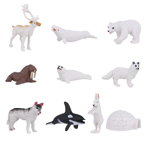 10 Uds Set mit Arktische Tiere Figuren, Polartier Spielzeug Polartiere Figuren Weißwal Polarfuchs Eisbär Rentier Tiere Arktis Tortenaufsätze für Kinder Geburtstage Babypartys 10 Uds Set mit Arktische Tiere Figuren, Polartier Spielzeug Polartiere Figuren Weißwal Polarfuchs Eisbär Rentier Tiere Arktis Tortenaufsätze für Kinder Geburtstage Babypartys von NQEUEPN
