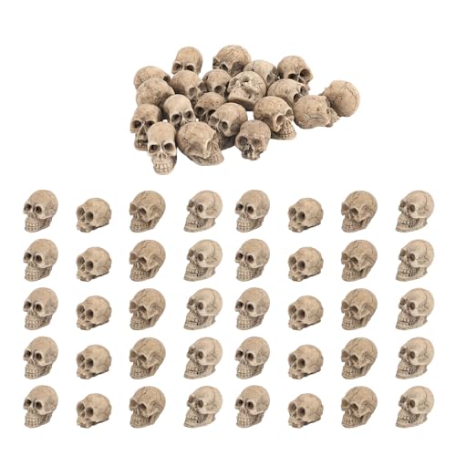 40stk Halloween-Mini-Totenkopf, 1,8cm Miniatur-Skelettköpfe Kleine Totenköpfe aus Kunstharz Tischdekoration für Halloween-Foto-Requisiten Partydekorationen Spukhaus Landschaft Zubehör 40stk Halloween-Mini-Totenkopf, 1,8cm Miniatur-Skelettköpfe Kleine Totenköpfe aus Kunstharz Tischdekoration für Halloween-Foto-Requisiten Partydekorationen Spukhaus Landschaft Zubehör von NQEUEPN