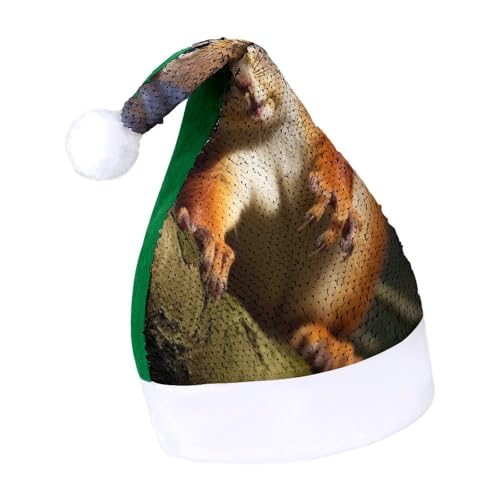 NQLYUT Weihnachtsmütze für Erwachsene, Plüschmütze, Eichhörnchen, lustige Tier-Pailletten, Weihnachtsmannmützen für Party NQLYUT Weihnachtsmütze für Erwachsene, Plüschmütze, Eichhörnchen, lustige Tier-Pailletten, Weihnachtsmannmützen für Party von NQLYUT