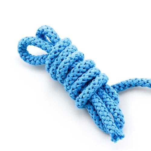 NTS-Nähtechnik 8mm | 5m Kordel | 100% Baumwolle | mit Polyester Kern (lichtblau) NTS-Nähtechnik 8mm | 5m Kordel | 100% Baumwolle | mit Polyester Kern (lichtblau) von NTS-Nähtechnik